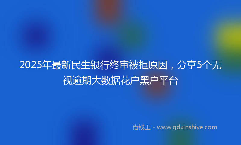 2025年最新民生银行终审被拒原因，分享5个无视逾期大数据花户黑户平台