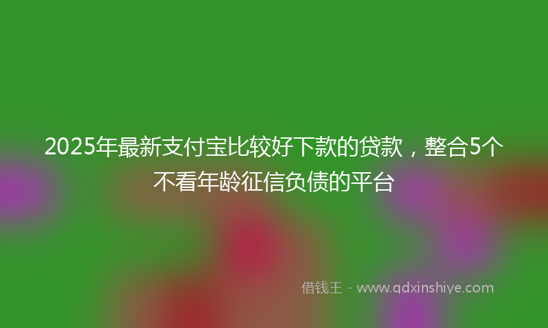 2025年最新支付宝比较好下款的贷款，整合5个不看年龄征信负债的平台