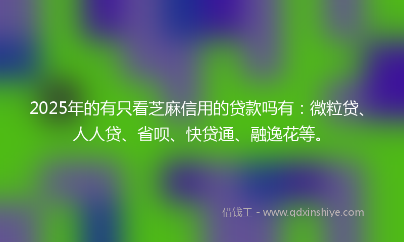 2025年的有只看芝麻信用的贷款吗有：微粒贷、人人贷、省呗、快贷通、融逸花等。