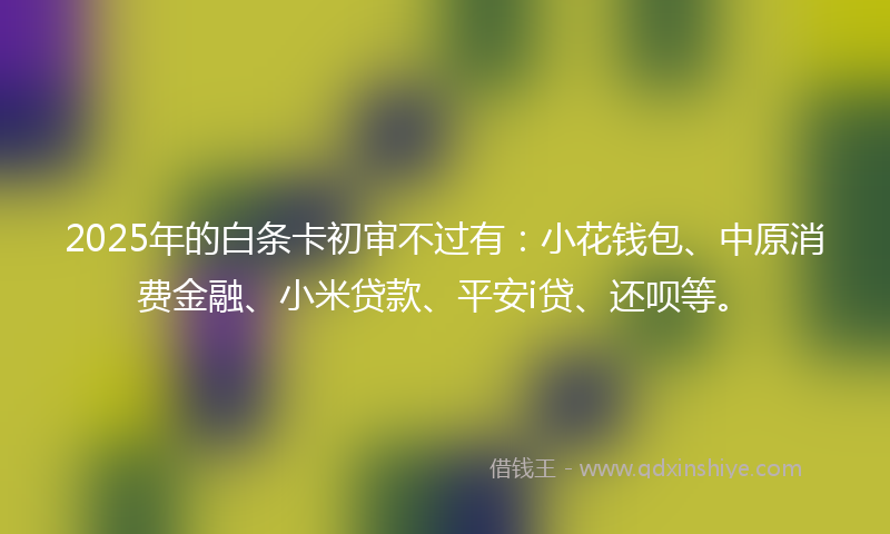 2025年的白条卡初审不过有：小花钱包、中原消费金融、小米贷款、平安i贷、还呗等。