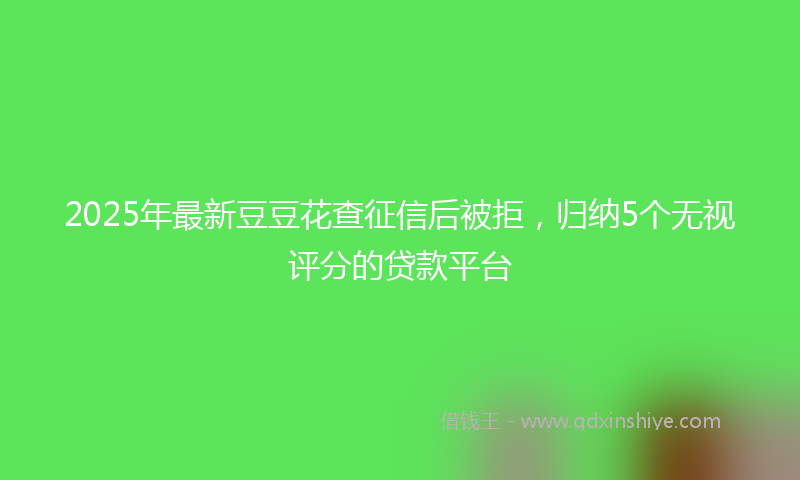 2025年最新豆豆花查征信后被拒，归纳5个无视评分的贷款平台
