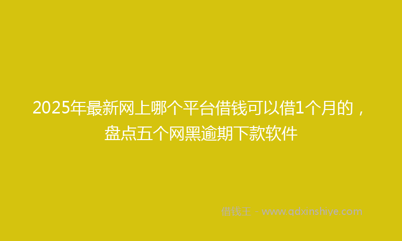 2025年最新网上哪个平台借钱可以借1个月的，盘点五个网黑逾期下款软件