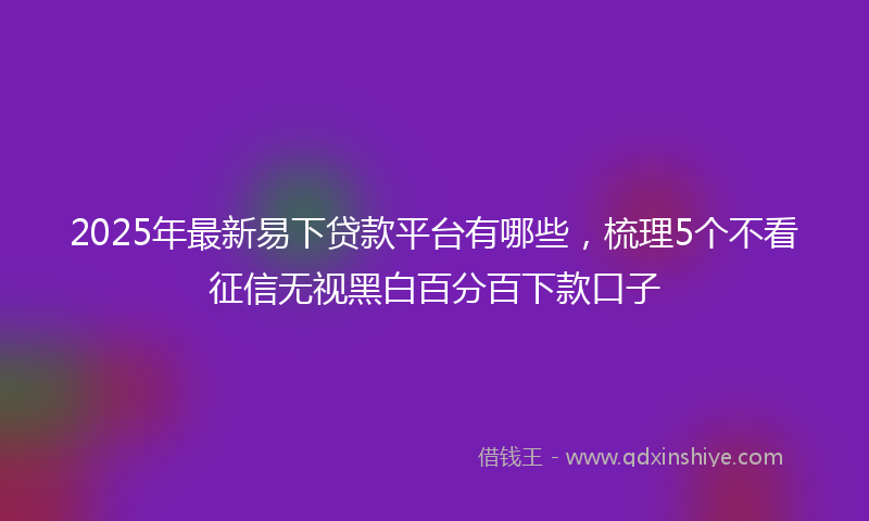 2025年最新易下贷款平台有哪些，梳理5个不看征信无视黑白百分百下款口子