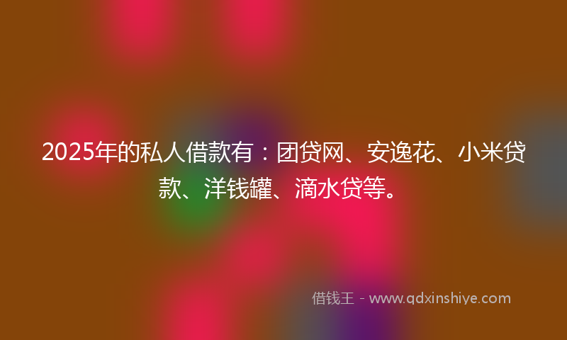 2025年的私人借款有：团贷网、安逸花、小米贷款、洋钱罐、滴水贷等。