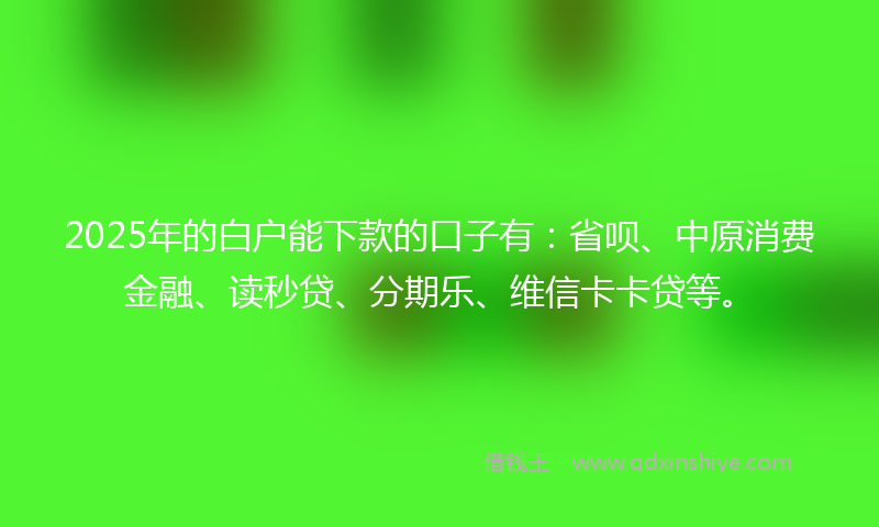 2025年的白户能下款的口子有：省呗、中原消费金融、读秒贷、分期乐、维信卡卡贷等。