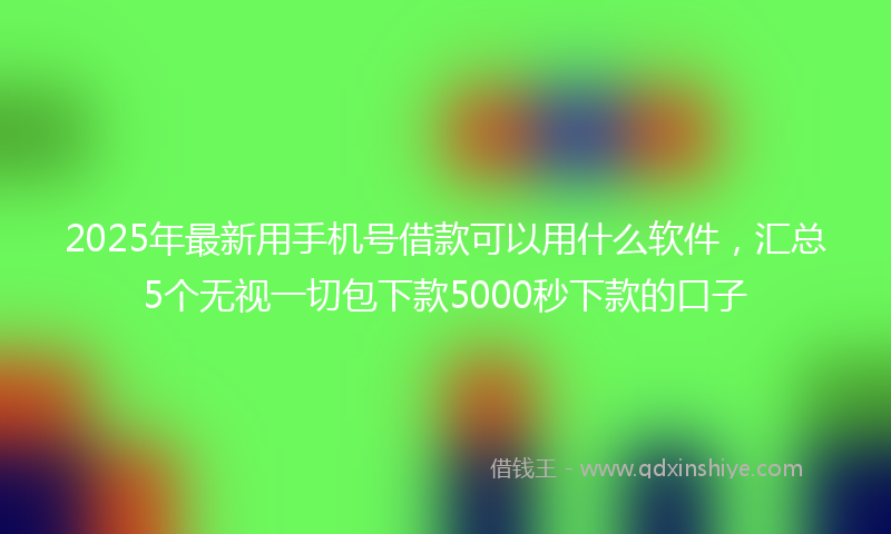 2025年最新用手机号借款可以用什么软件，汇总5个无视一切包下款5000秒下款的口子