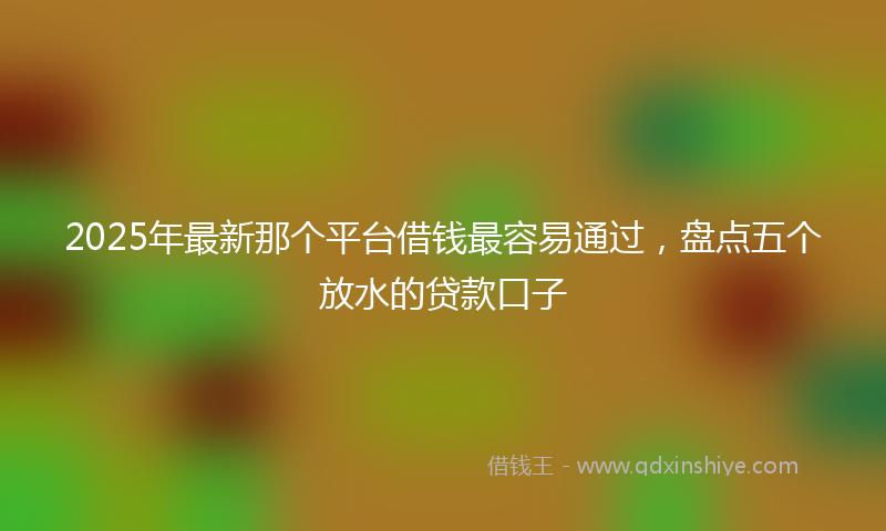 2025年最新那个平台借钱最容易通过，盘点五个放水的贷款口子