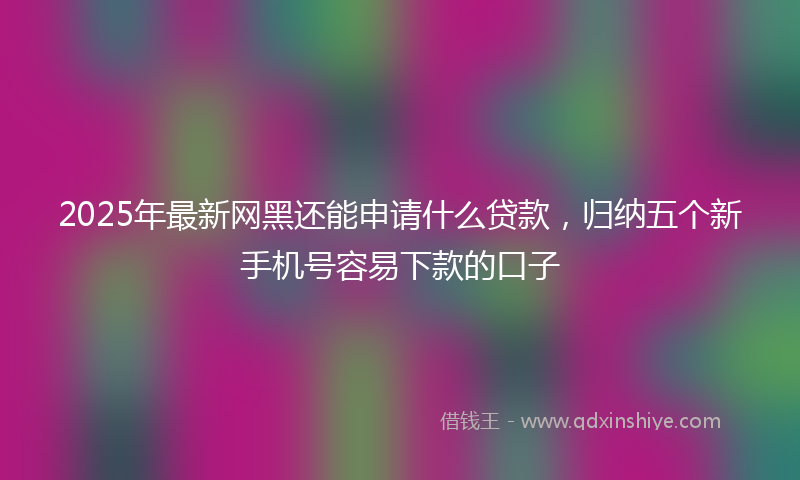 2025年最新网黑还能申请什么贷款，归纳五个新手机号容易下款的口子