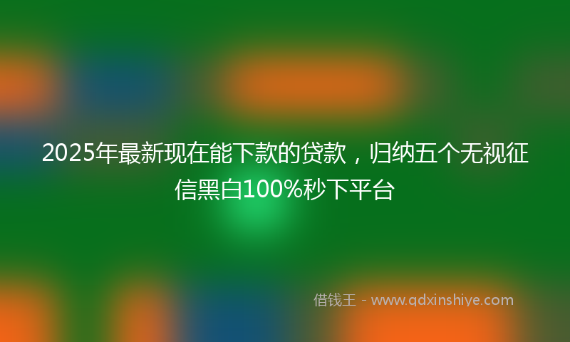 2025年最新现在能下款的贷款，归纳五个无视征信黑白100%秒下平台