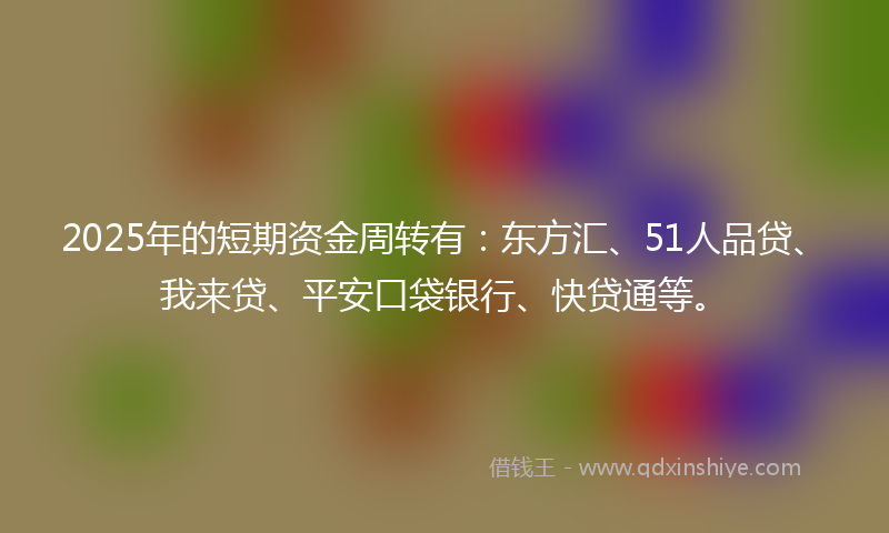 2025年的短期资金周转有：东方汇、51人品贷、我来贷、平安口袋银行、快贷通等。