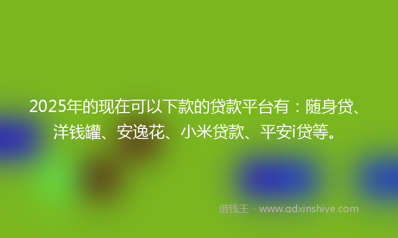 2025年的现在可以下款的贷款平台有：随身贷、洋钱罐、安逸花、小米贷款、平安i贷等。