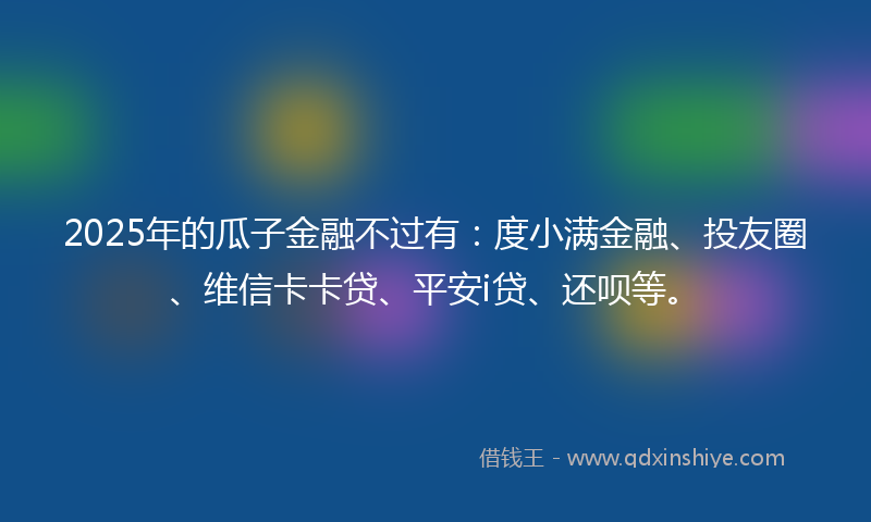 2025年的瓜子金融不过有：度小满金融、投友圈、维信卡卡贷、平安i贷、还呗等。