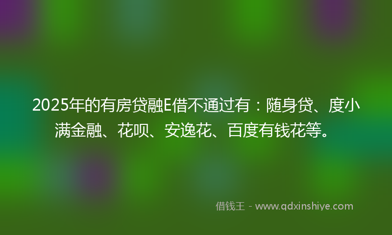 2025年的有房贷融E借不通过有：随身贷、度小满金融、花呗、安逸花、百度有钱花等。