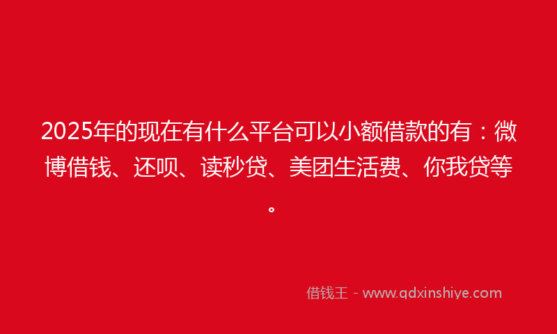 2025年的现在有什么平台可以小额借款的有：微博借钱、还呗、读秒贷、美团生活费、你我贷等。