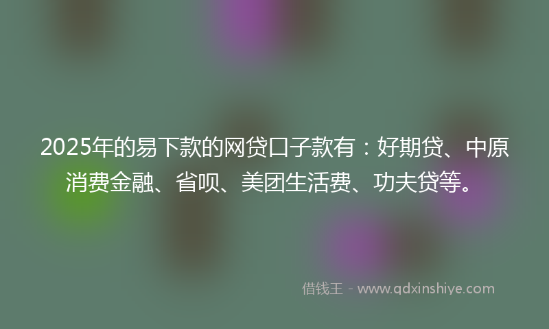 2025年的易下款的网贷口子款有：好期贷、中原消费金融、省呗、美团生活费、功夫贷等。