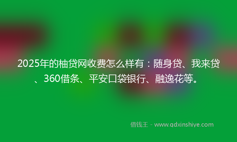 2025年的柚贷网收费怎么样有：随身贷、我来贷、360借条、平安口袋银行、融逸花等。
