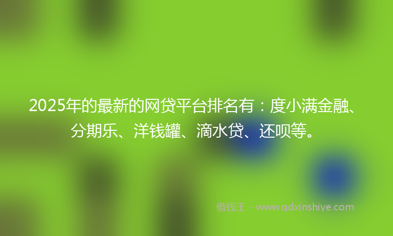 2025年的最新的网贷平台排名有：度小满金融、分期乐、洋钱罐、滴水贷、还呗等。
