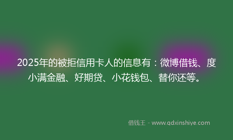 2025年的被拒信用卡人的信息有：微博借钱、度小满金融、好期贷、小花钱包、替你还等。