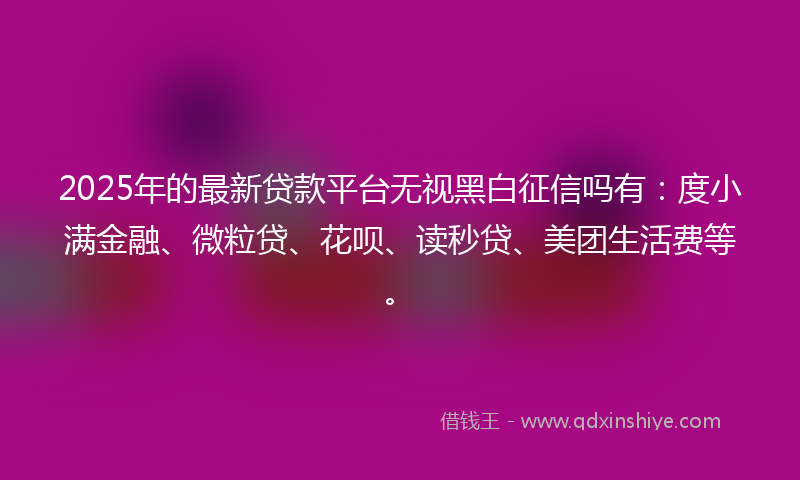 2025年的最新贷款平台无视黑白征信吗有：度小满金融、微粒贷、花呗、读秒贷、美团生活费等。
