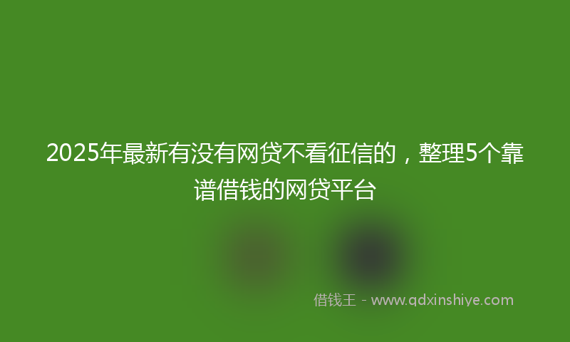 2025年最新有没有网贷不看征信的，整理5个靠谱借钱的网贷平台