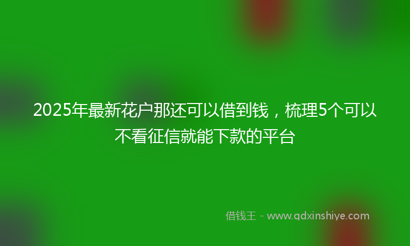2025年最新花户那还可以借到钱，梳理5个可以不看征信就能下款的平台