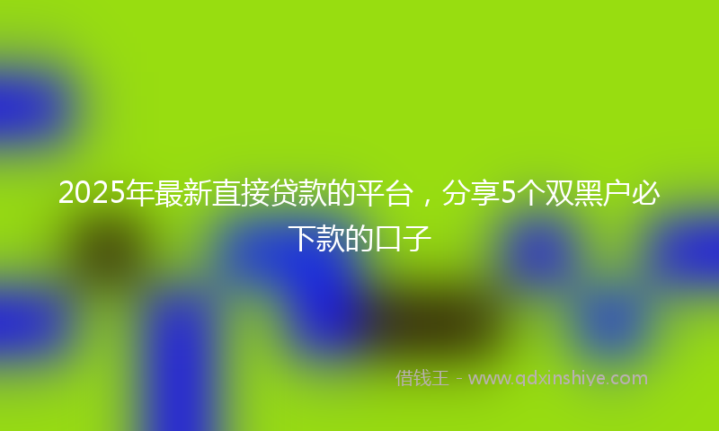 2025年最新直接贷款的平台，分享5个双黑户必下款的口子