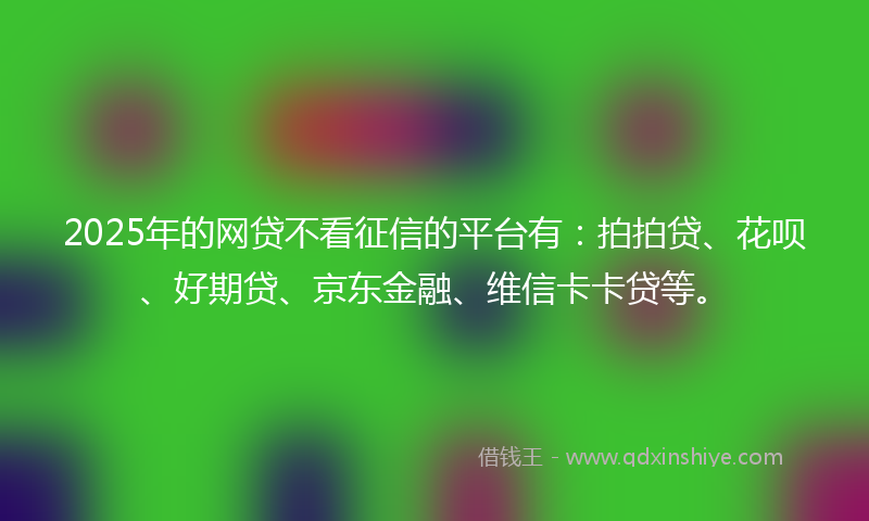 2025年的网贷不看征信的平台有：拍拍贷、花呗、好期贷、京东金融、维信卡卡贷等。
