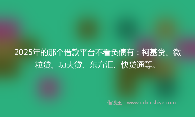 2025年的那个借款平台不看负债有：柯基贷、微粒贷、功夫贷、东方汇、快贷通等。