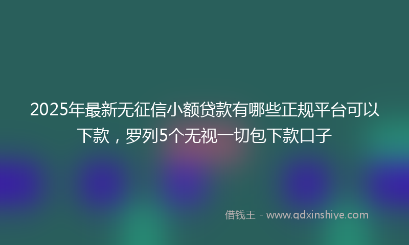 2025年最新无征信小额贷款有哪些正规平台可以下款，罗列5个无视一切包下款口子