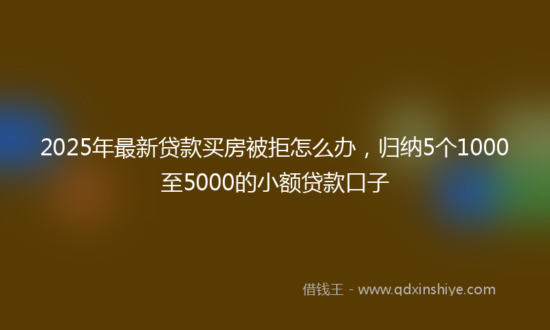 2025年最新贷款买房被拒怎么办，归纳5个1000至5000的小额贷款口子