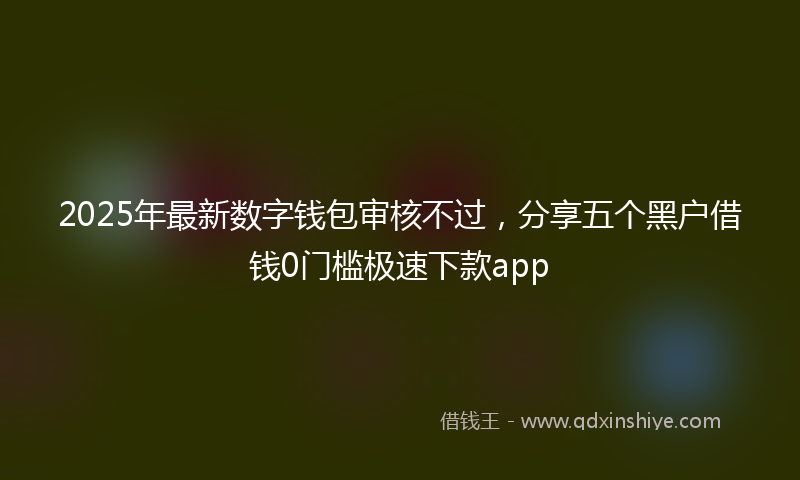2025年最新数字钱包审核不过，分享五个黑户借钱0门槛极速下款app