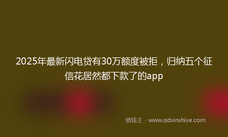 2025年最新闪电贷有30万额度被拒，归纳五个征信花居然都下款了的app