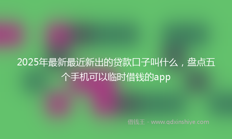 2025年最新最近新出的贷款口子叫什么，盘点五个手机可以临时借钱的app