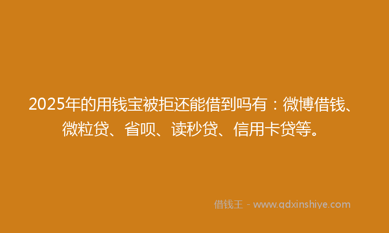 2025年的用钱宝被拒还能借到吗有：微博借钱、微粒贷、省呗、读秒贷、信用卡贷等。