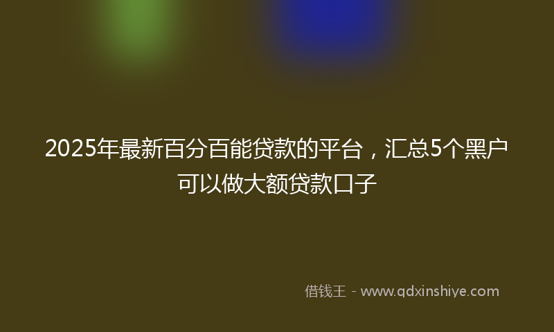 2025年最新百分百能贷款的平台，汇总5个黑户可以做大额贷款口子