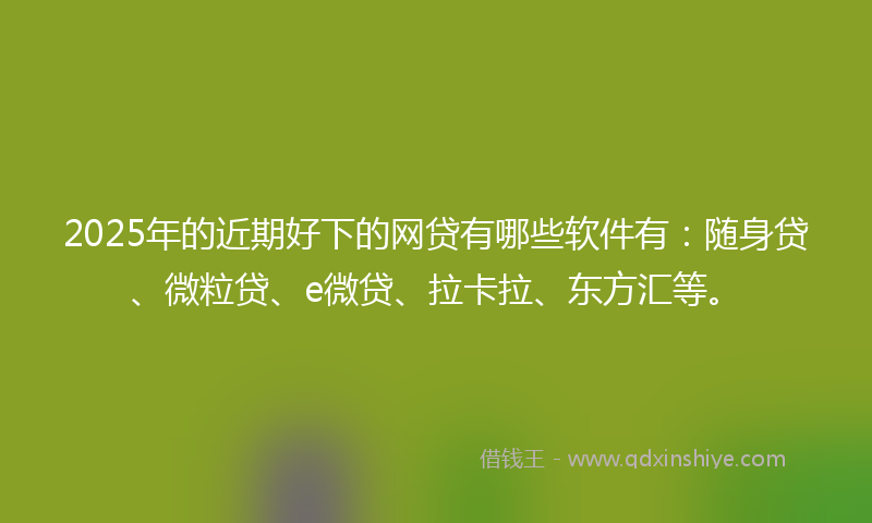 2025年的近期好下的网贷有哪些软件有：随身贷、微粒贷、e微贷、拉卡拉、东方汇等。