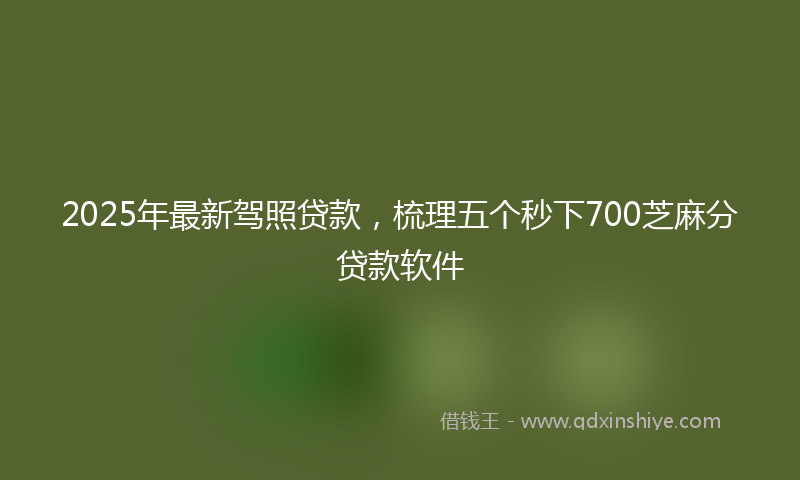 2025年最新驾照贷款，梳理五个秒下700芝麻分贷款软件