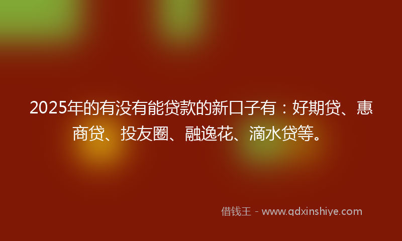 2025年的有没有能贷款的新口子有：好期贷、惠商贷、投友圈、融逸花、滴水贷等。