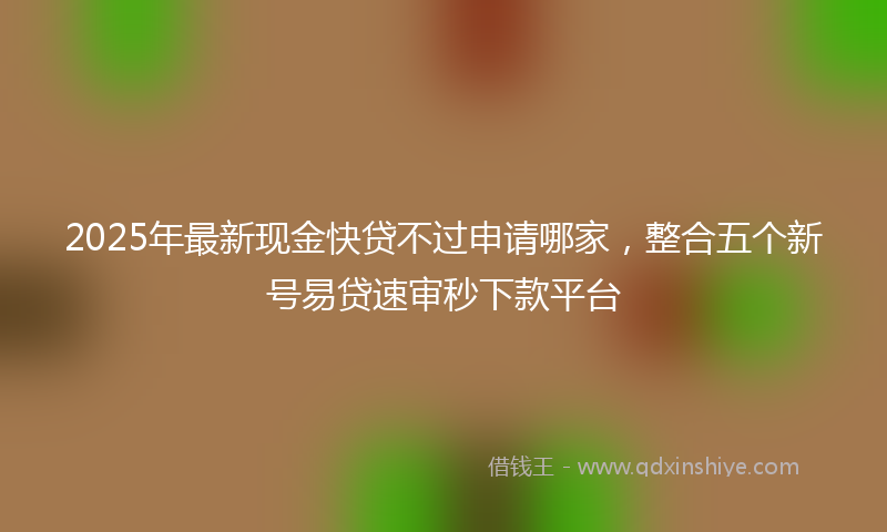 2025年最新现金快贷不过申请哪家，整合五个新号易贷速审秒下款平台