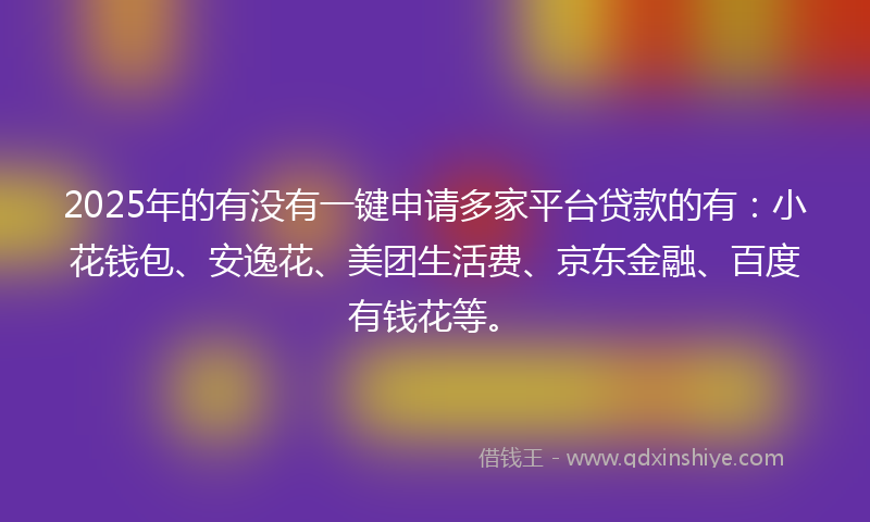 2025年的有没有一键申请多家平台贷款的有：小花钱包、安逸花、美团生活费、京东金融、百度有钱花等。