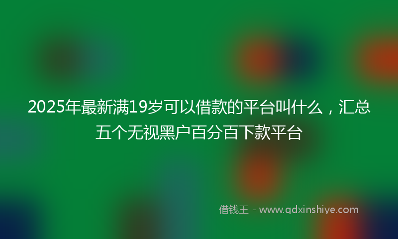 2025年最新满19岁可以借款的平台叫什么，汇总五个无视黑户百分百下款平台