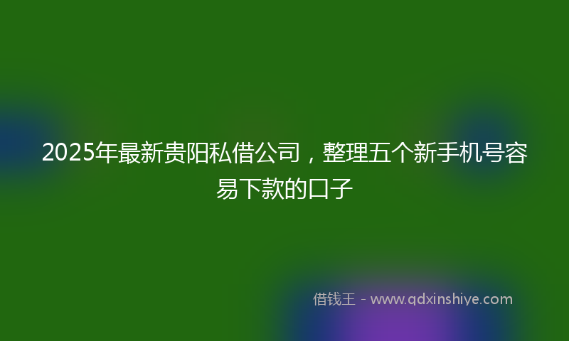 2025年最新贵阳私借公司，整理五个新手机号容易下款的口子