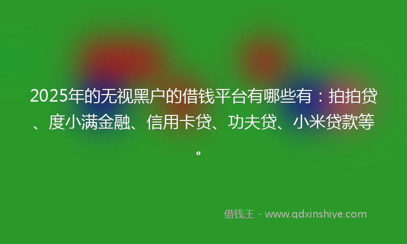 2025年的无视黑户的借钱平台有哪些有：拍拍贷、度小满金融、信用卡贷、功夫贷、小米贷款等。