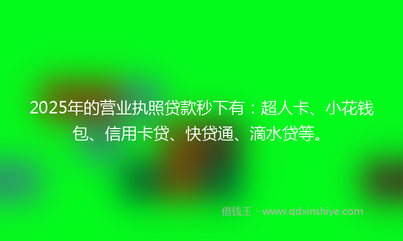 2025年的营业执照贷款秒下有：超人卡、小花钱包、信用卡贷、快贷通、滴水贷等。