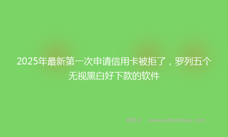 2025年最新第一次申请信用卡被拒了，罗列五个无视黑白好下款的软件