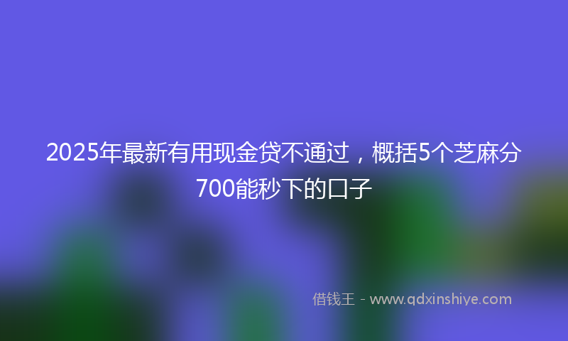 2025年最新有用现金贷不通过，概括5个芝麻分700能秒下的口子
