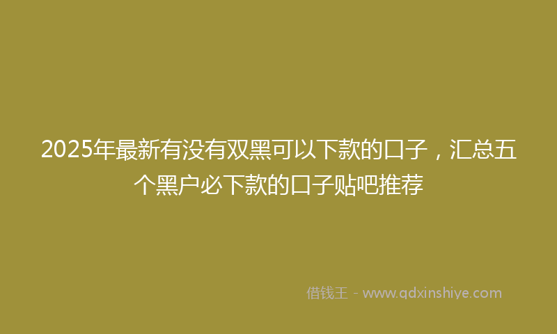2025年最新有没有双黑可以下款的口子，汇总五个黑户必下款的口子贴吧推荐