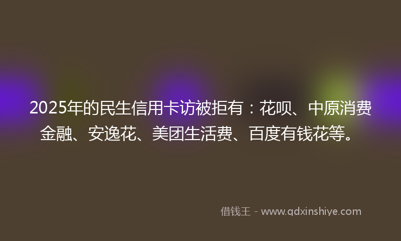 2025年的民生信用卡访被拒有：花呗、中原消费金融、安逸花、美团生活费、百度有钱花等。