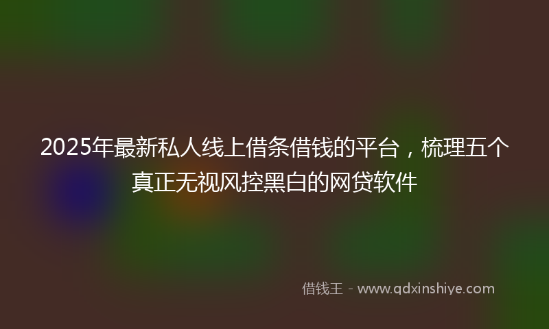2025年最新私人线上借条借钱的平台，梳理五个真正无视风控黑白的网贷软件