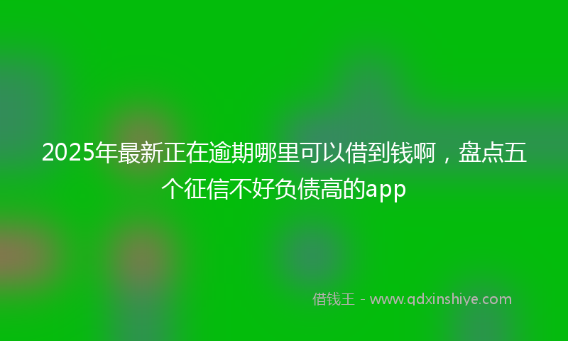2025年最新正在逾期哪里可以借到钱啊，盘点五个征信不好负债高的app